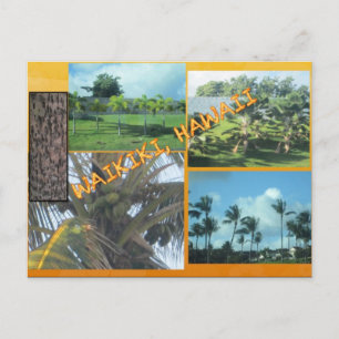 DOUANE BRIEFKAARTEN - HAWAII COLLAGE# 9