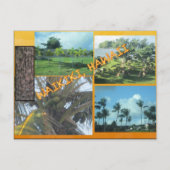 DOUANE BRIEFKAARTEN - HAWAII COLLAGE# 9 (Voorkant)