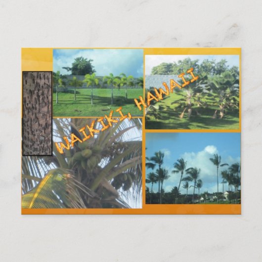 DOUANE BRIEFKAARTEN - HAWAII COLLAGE# 9 (Voorkant)