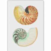 DOUANE DOUANE VINYL STICKER : NAUTILUS (Voorkant)