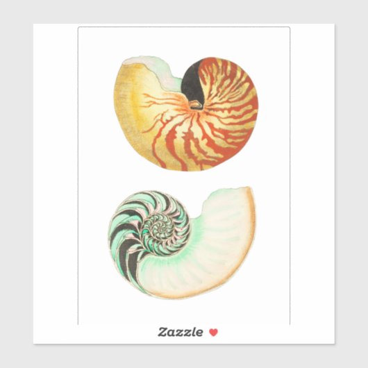 DOUANE DOUANE VINYL STICKER : NAUTILUS (Vel)