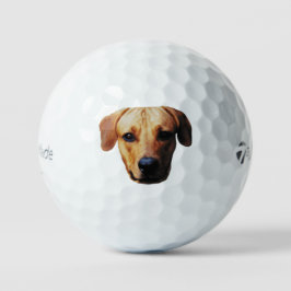 Douane foto golfballen met honden gezicht