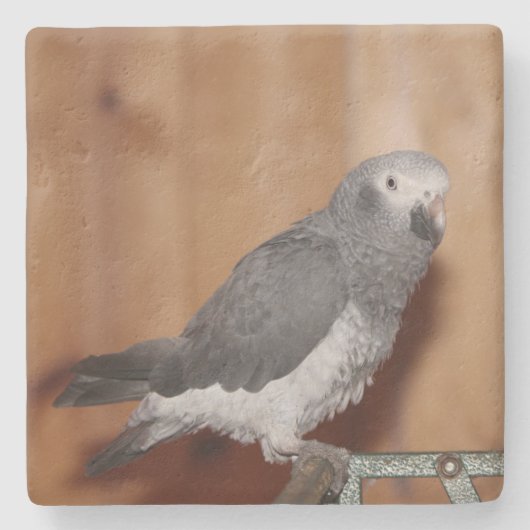 DOUANE FOTO-ONDERZETTER STENEN ONDERZETTER (Voorkant)