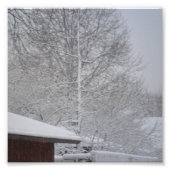 DOUANE FOTO-PRINTS 6 X6 FOTO AFDRUK (Voorkant)