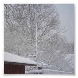 DOUANE FOTO-PRINTS 6 X6 FOTO AFDRUK