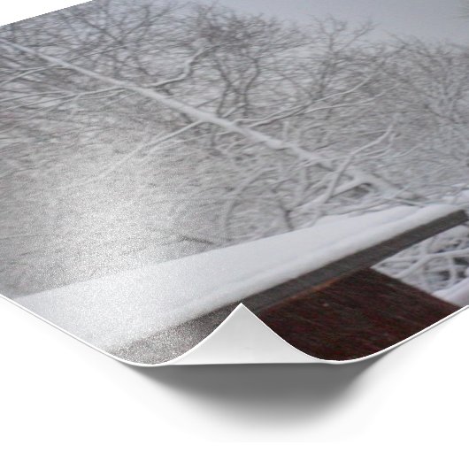 DOUANE FOTO-PRINTS 6 X6 FOTO AFDRUK (Hoek)