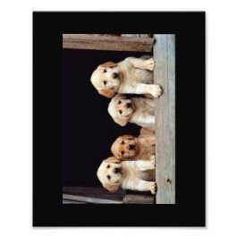 DOUANE FOTO-PRINTS 8 X 10 FOTO AFDRUK