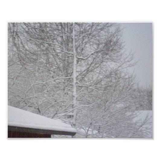 DOUANE FOTO-PRINTS FOTO AFDRUK (Voorkant)