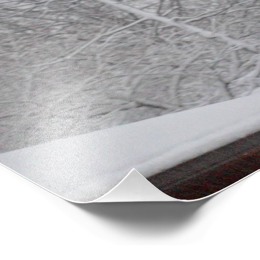 DOUANE FOTO-PRINTS FOTO AFDRUK (Hoek)