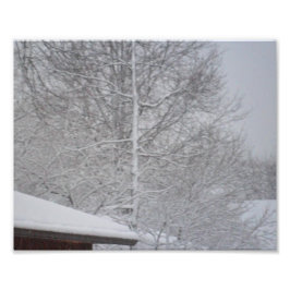 DOUANE FOTO-PRINTS FOTO AFDRUK