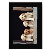 DOUANE FOTO-PRINTS FOTO AFDRUK (Voorkant)