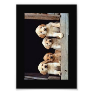 DOUANE FOTO-PRINTS FOTO AFDRUK