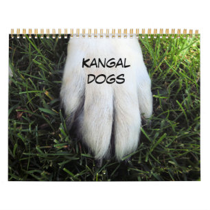 Douane Gedrukte Kalender