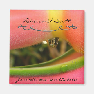 Douane sparen de Magnetten van de Datum voor Wedde Magneet