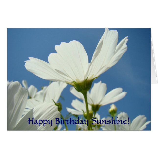 DOUANE Wenskaarten Happy Birthday White Daisy (Voorkant Horizontaal)
