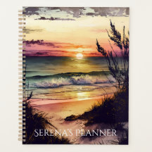 Douanenaam Strandplanner, Douaneplanner, Planner