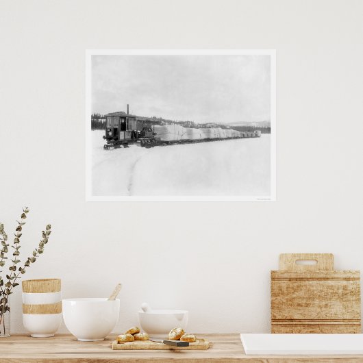 Douanepijler Yukon Freight 1924 Poster (Keuken)