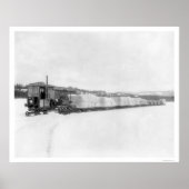 Douanepijler Yukon Freight 1924 Poster (Voorkant)