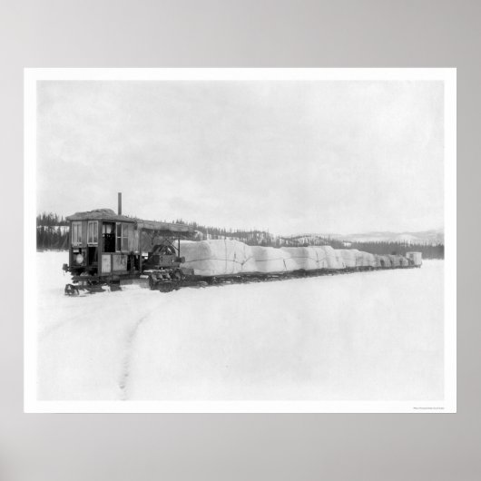 Douanepijler Yukon Freight 1924 Poster (Voorkant)