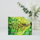 DOUANESCHISCHE GROENE ZEELIGE TROPISCHE FERN NIEUW BRIEFKAART (Staand voorkant)