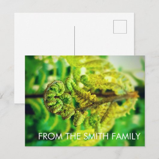 DOUANESCHISCHE GROENE ZEELIGE TROPISCHE FERN NIEUW BRIEFKAART (Voorkant / Achterkant)