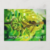 DOUANESCHISCHE GROENE ZEELIGE TROPISCHE FERN NIEUW BRIEFKAART (Voorkant)