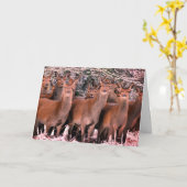 DOUANESCHRISTMAS-KAART MET DEER IN SNEE KAART (Gele Bloem)