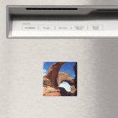 Double Arch Magnet (Insitu (Vaatwasser))