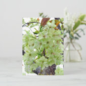 Double Cherry Blossom: Gioiko Kaart (Staand voorkant)