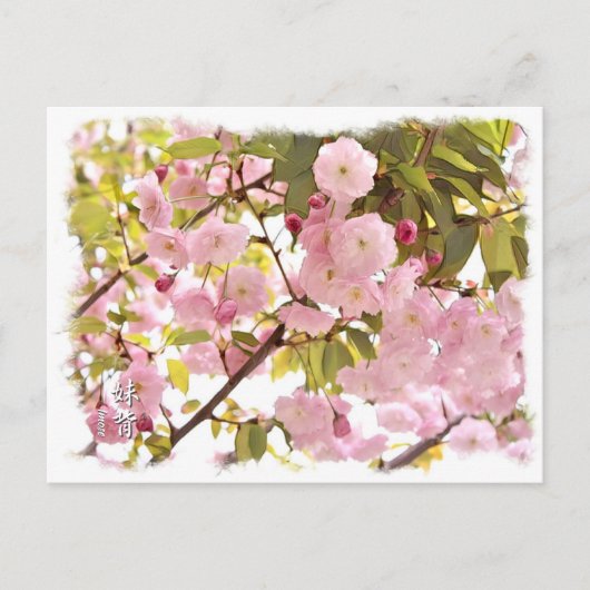 Double Cherry Blossom: Imose Briefkaart (Voorkant)