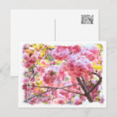 Double Cherry Blossom: Matsumae-benimurasaki Briefkaart (Voorkant / Achterkant)