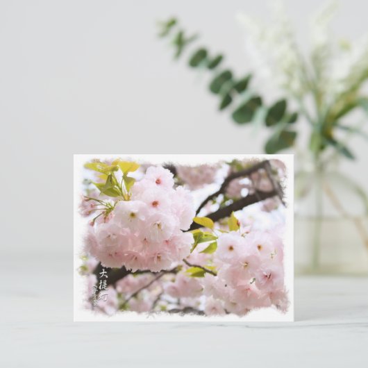 Double Cherry Blossom: Oh-jochin ポストカード Briefkaart (Staand voorkant)