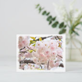 Double Cherry Blossom: Oh-jochin Briefkaart (Staand voorkant)