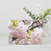 Double Cherry Blossom: Oh-jochin Kaart (Staand voorkant)