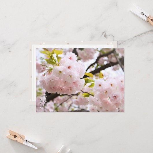 Double Cherry Blossom: Oh-jochin Kaart (Voorkant / Achterkant in situ)