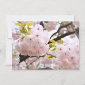 Double Cherry Blossom: Oh-jochin Kaart (Voorkant)