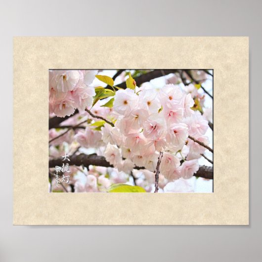 Double Cherry Blossom: Oh-jochin Poster (Voorkant)