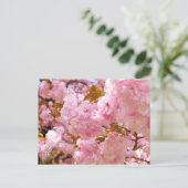 Double Cherry Blossom: Sato-zakura Briefkaart (Staand voorkant)