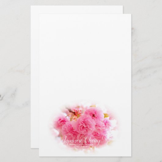 Double Cherry Blossom: Sato-zakura Briefpapier (Voorkant / Achterkant)
