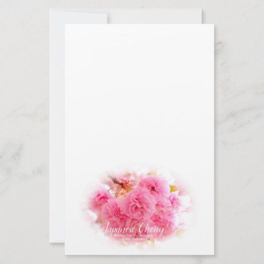 Double Cherry Blossom: Sato-zakura Briefpapier (Voorkant)