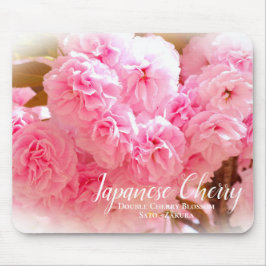 Double Cherry Blossom: Sato-zakura Muismat