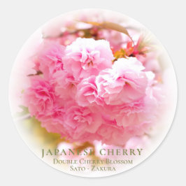 Double Cherry Blossom: Sato-zakura Ronde Sticker