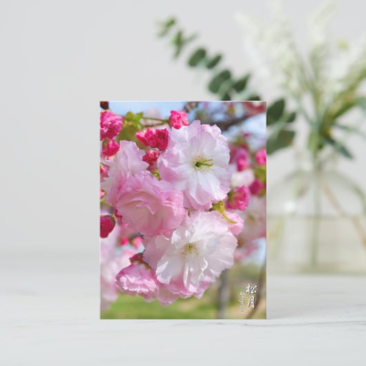 Double Cherry Blossom: Shogetsu Briefkaart (Staand voorkant)