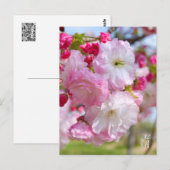 Double Cherry Blossom: Shogetsu Briefkaart (Voorkant / Achterkant)