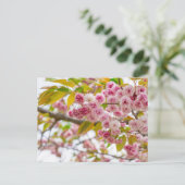 double cherry blossoms feestdagenkaart (Staand voorkant)