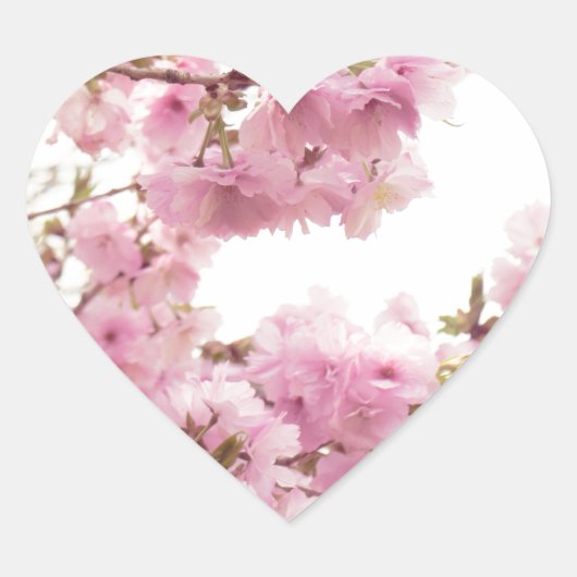 Double cherry blossoms in Japan ハートシール Hart Sticker (Voorkant)