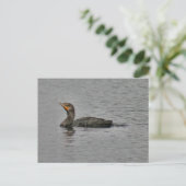Double Crested Cormorant Bird Photo Briefkaart (Staand voorkant)