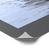 Double-crested Cormorant Bird Poster (Hoek)