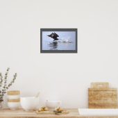 Double-crested Cormorant Bird Poster (Keuken)