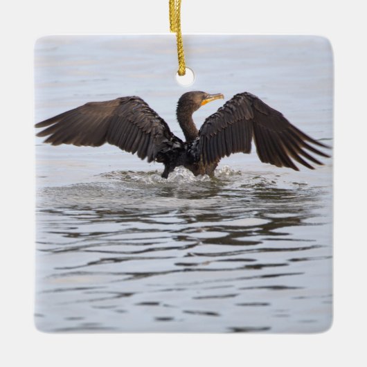 Double-crested Cormorant Ornament  (Voorkant)